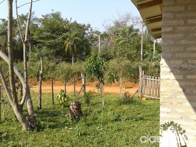 Vendo casa economica en luque — foto 2