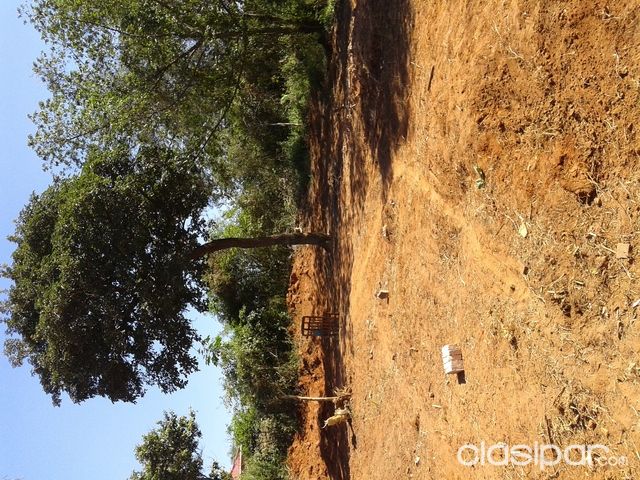 vendo terreno en luque — foto 2