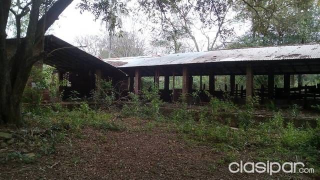 Vendo 1 hectárea y media en LUQUE — foto 2