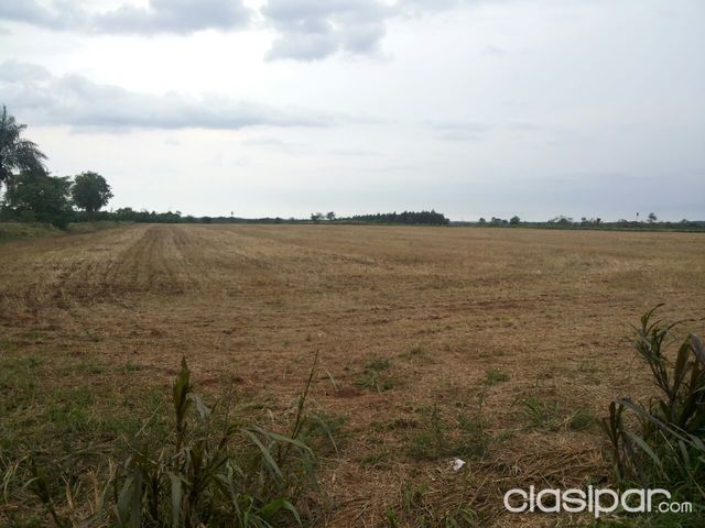 vendo una hectareas ubicado km12 manday a 5800mtrs de la ruta 7 — foto 2