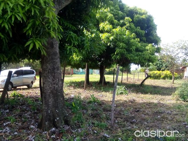 Vendo terreno de 12 ×32 zona limpio altura del super mercado stock zona alta, esquina — foto 3