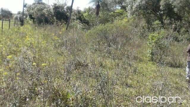 Terreno en san ignacio — foto 2