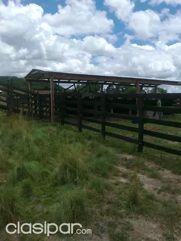 QUIINDY - VALLE APUA (LUGAR DENOMINADO CHARARA): VENDO HERMOSA ESTANCIA - 270 HAS - 20.000.000 GS HA — foto 2