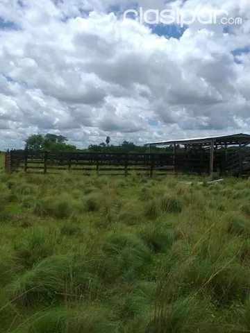 QUIINDY - VALLE APUA (LUGAR DENOMINADO CHARARA): VENDO HERMOSA ESTANCIA - 270 HAS - 20.000.000 GS HA — foto 3