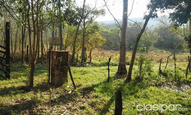 Terreno arbolado en Ytu. con 100 metros de arroyo YTU. 2 HA — foto 2