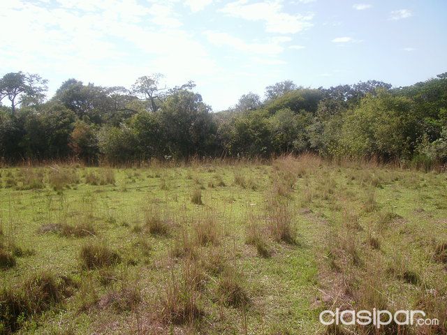 Vendo 11 has. — foto 2