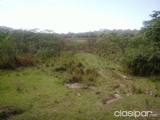 Vendo 11 has. — foto 3