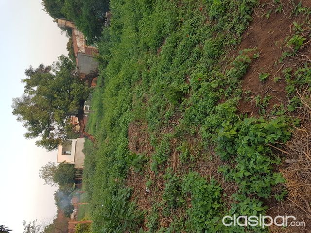 SE VENDE TERRENO EN ZONA DEL COLEGIO SEK - LAMBARÉ — foto 3
