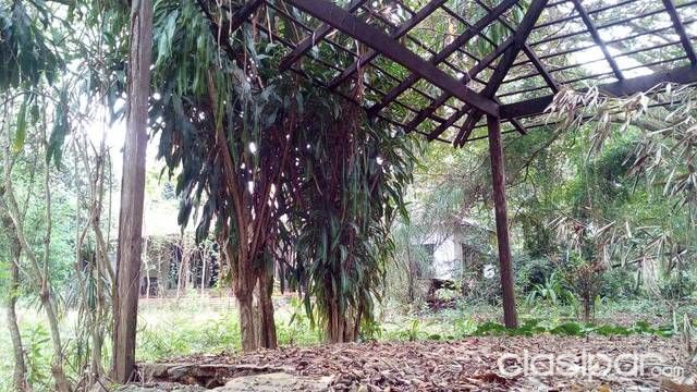 HERMOSA PROPIEDAD DE 1 HECTÁREA Y MEDIA EN LUQUE — foto 3