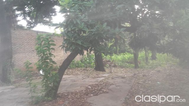 Terreno 11x45m2 — foto 3