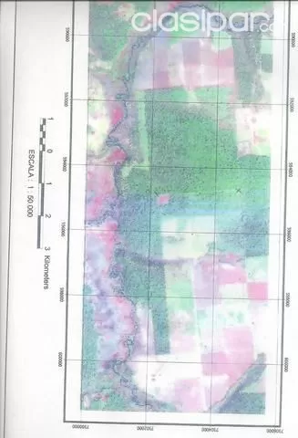 CANINDEYU (S RIO CURUGUATY): VENDO PROPIEDAD IDEAL P CULTIVO - POSESION INMEDIATA - 2.341 HAS - — foto 2