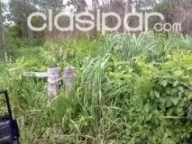 CANINDEYU (S RIO CURUGUATY): VENDO PROPIEDAD IDEAL P CULTIVO - POSESION INMEDIATA - 2.341 HAS - — foto 3