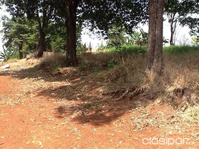 Terreno en km 7 — foto 3