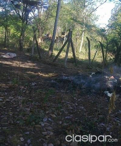 REMATO TERRENO EN LUQUE DE 27X33 — foto 2