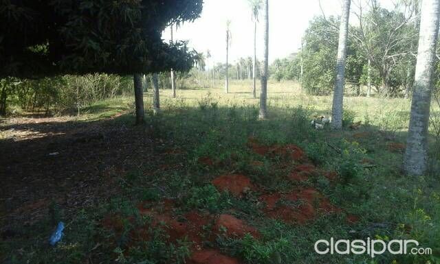 REMATO 2 HECTAREAS EN LUQUE — foto 3