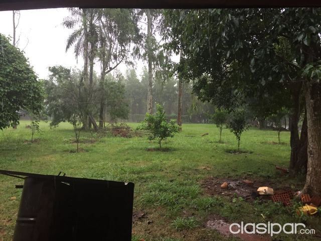 VENDO 9 HAS TIERRA 100% ROJA EN FORTUNA HERNANDARIAS A 5 KM DE LA SUPERCARRETERA ITAIPU — foto 3