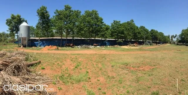 Vendo Granja Avicola (14.55 hectáreas) — foto 3