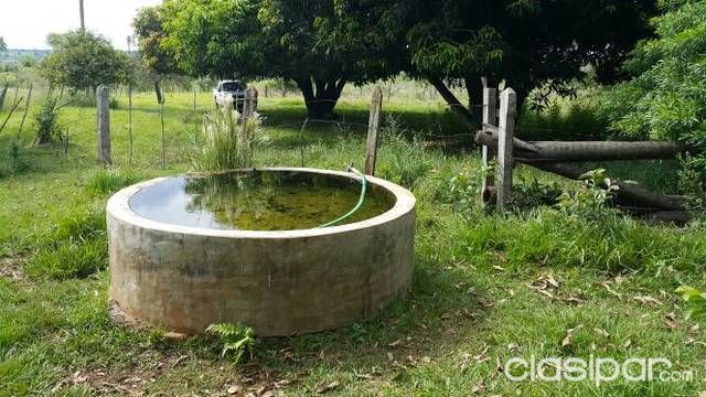 Vendo Hermosa Propiedad, Granja, Quinta en Piribebuy — foto 3