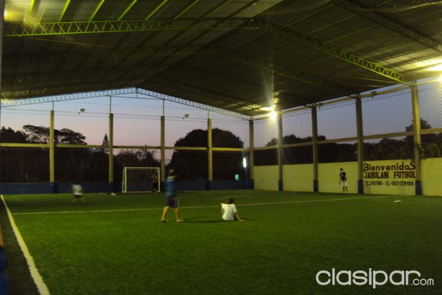 VENDO CANCHA SINTETICA — foto 3