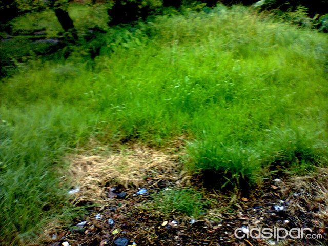 remato casa en ypane — foto 2