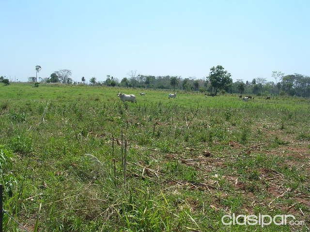 Vendo campo en Chore — foto 3