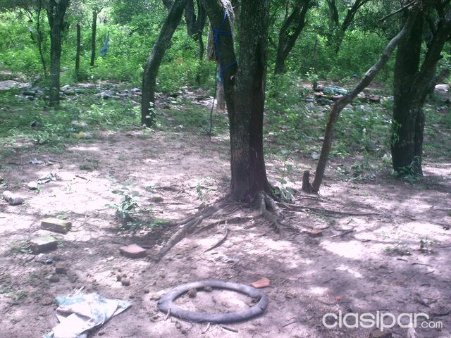 terreno en chaco i — foto 2