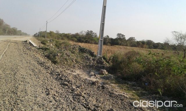 TERRENO DE 38 HECTAREAS EN VILLA OLIVA — foto 2
