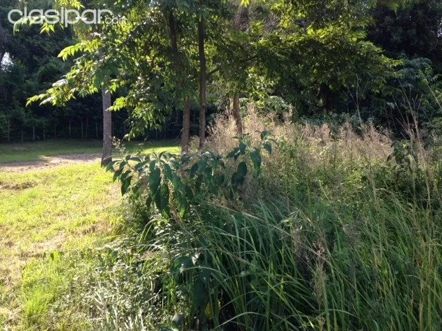 TERRENO CON VISTA AL LAGO YPACARAI 1.100 m2 — foto 2