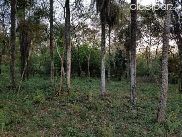 CASA QUINTA — foto 2