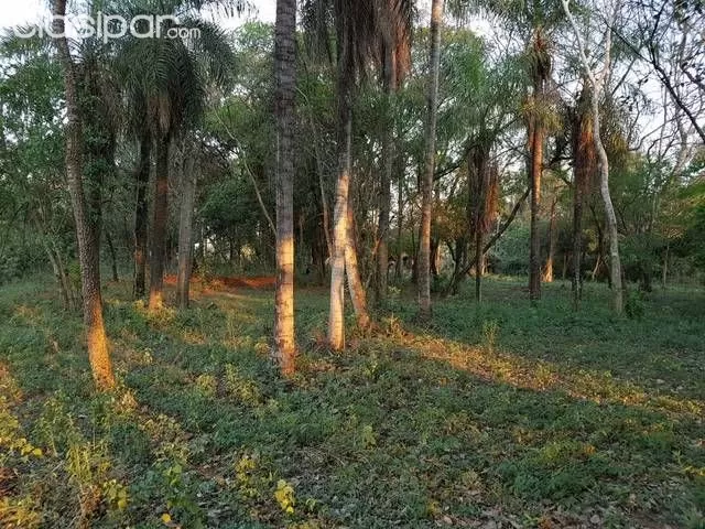 CASA QUINTA — foto 3