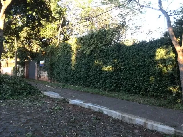 VENDO IMPORTANTE TERRENO ZONA EL MANGAL — foto 2