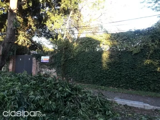 VENDO IMPORTANTE TERRENO ZONA EL MANGAL — foto 3