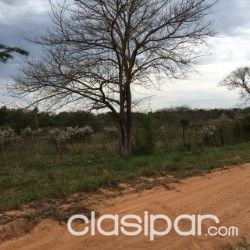 OFERTO 20 A 32 HECTAREAS (20.000 a 32.000 mts2) SOBRE RUTA LUQUE - SAN BERNARDINO (DISTRITO DE LUQUE) — foto 3