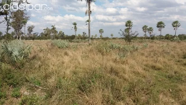 Estela Inmobiliaria Vende TERRENO CIUDAD DE LIMPIO — foto 2
