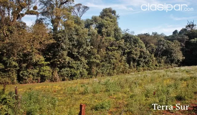 Amplio Terreno de 28 x 66 m en María Auxiliadora — foto 2