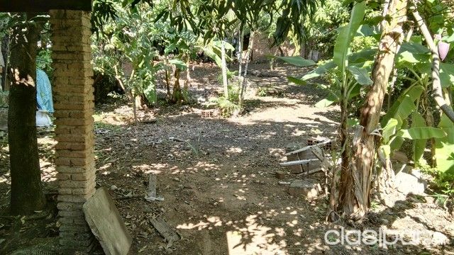 Increible terreno 12x60 m2 barrio Sajonia — foto 2