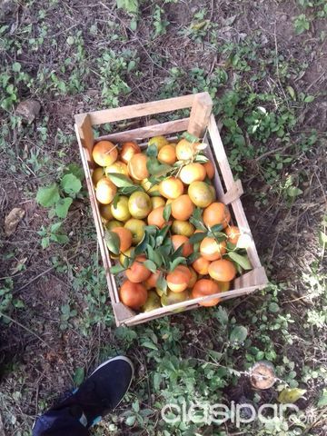 SUPER OFERTA DE 8 HECTAREAS EN BARRERO A 50 METROS DEL ASFALTO — foto 2