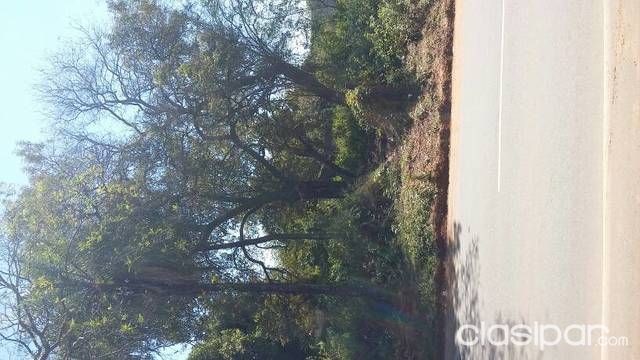 Terreno sobre asfalto zona Cie luque — foto 2