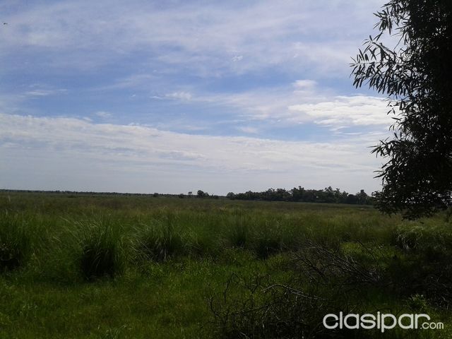VENDO 4 Hectáreas en Arroyos y Esteros — foto 2