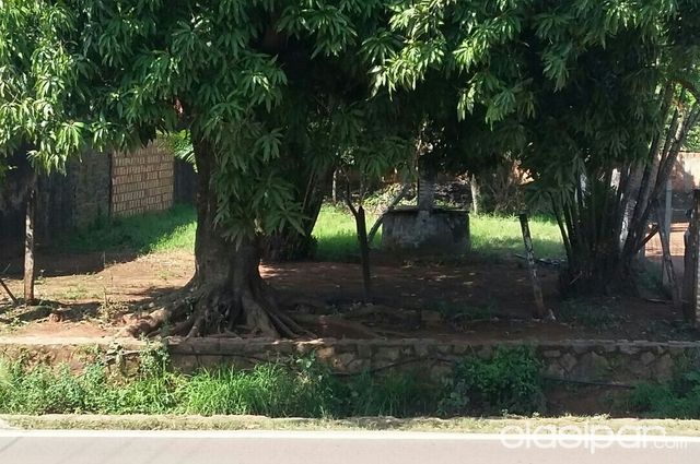 Vendo hermoso terreno en Reducto San Lorenzo — foto 3