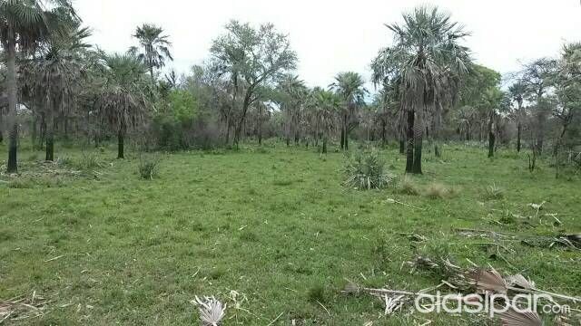 Vendo Propiedad Rural en Villa Oliva — foto 2