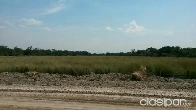 Vendo Propiedad Rural en Villa Oliva — foto 3