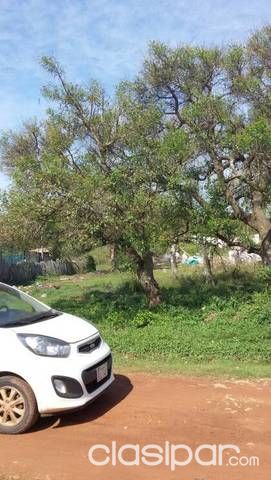 Terreno en Ypane — foto 2