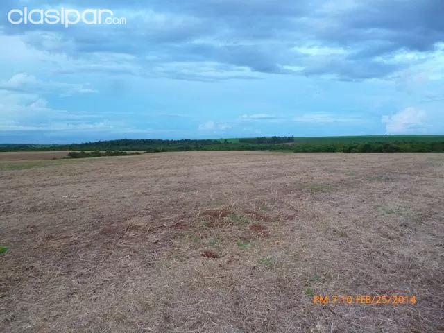 VENDO 388 HAS. EN CERRO LARGO — foto 3