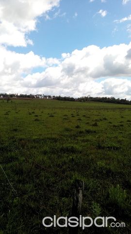 85 HA. ZONA LA COLMENA — foto 3