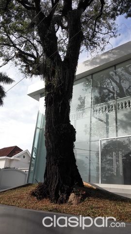 Especial para Showroom — foto 3