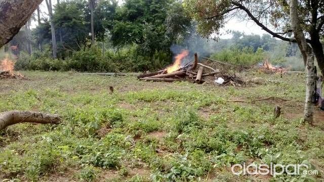 Un terreno — foto 2