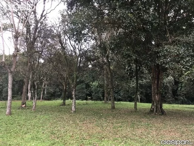 Vendo Granja sobre el lago Acaray en el Km 9 — foto 2