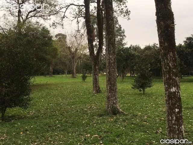 Vendo Granja sobre el lago Acaray en el Km 9 — foto 3