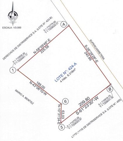 VENDO PROPIEDAD RURAL - LA FORTUNA - HERNANDARIAS — foto 2